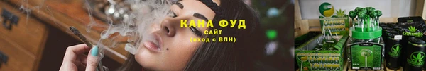 ГАЛЛЮЦИНОГЕННЫЕ ГРИБЫ Белоозёрский