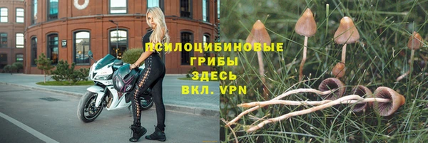 марки nbome Белокуриха
