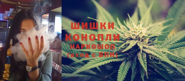ГАЛЛЮЦИНОГЕННЫЕ ГРИБЫ Белоозёрский