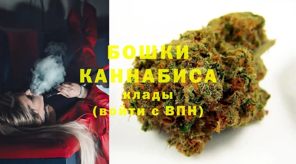 ГАЛЛЮЦИНОГЕННЫЕ ГРИБЫ Белоозёрский
