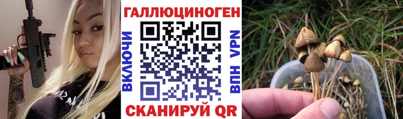Галлюциногенные грибы ЛСД  Мосальск 